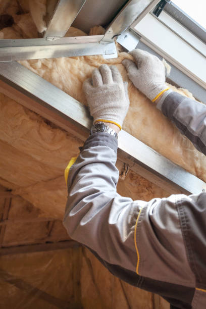 Best Types of Insulation in Livonia, LA